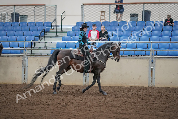 2019 Morgan Horse Show - Aug 30, 2019 - 26176