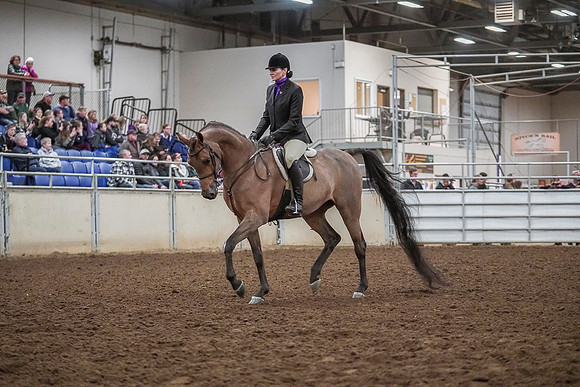 Spring Fling - Saturday - April 20, 2019  -  04506