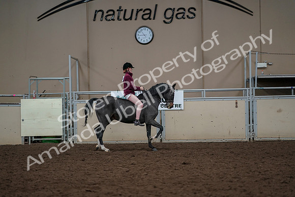 2019 Morgan Horse Show - Aug 30, 2019 - 31435