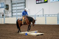 2020 - AB Morgan Horse - Fri, Sept 04 - 00231