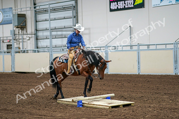 2020 - AB Morgan Horse - Fri, Sept 04 - 00231