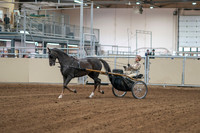2020 - AB Morgan Horse - Sat, Sept 05 - 05833
