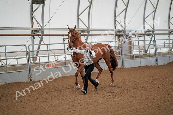 July 19, 2019 - 66