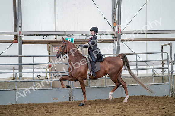 July 20, 2019 - 14621