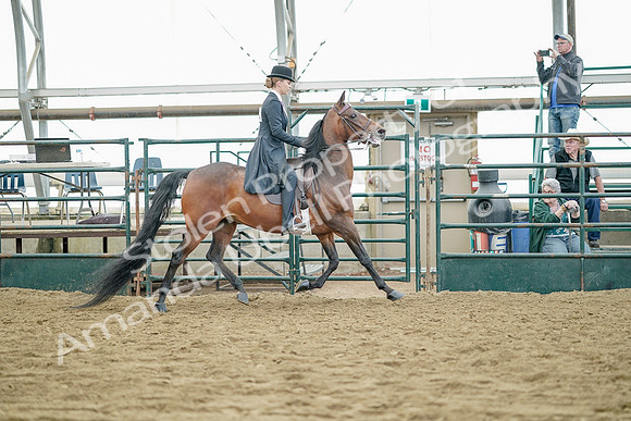 July 21, 2019 - 12254