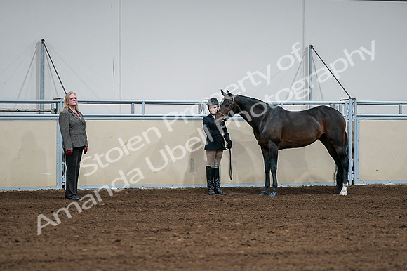 2020 - AB Morgan Horse - Fri, Sept 04 - 00805