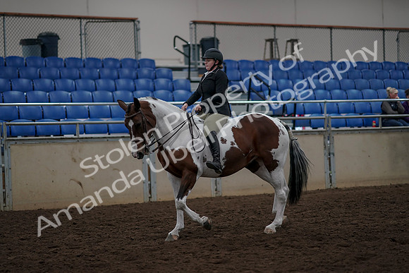 2019 Morgan Horse Show - Aug 30, 2019 - 31110