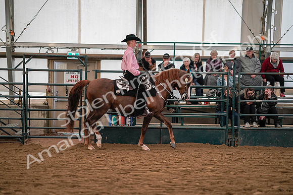 July 19, 2019 - 10085