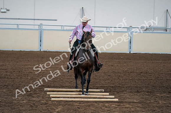 2020 - AB Morgan Horse - Fri, Sept 04 - 00579