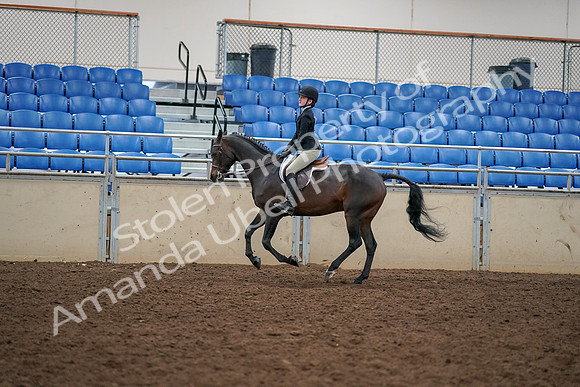 2019 Morgan Horse Show - Aug 30, 2019 - 12305