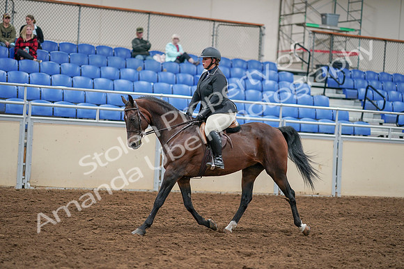 2020 - AB Morgan Horse - Sat, Sept 05 - 14470