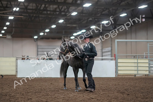 2019 Morgan Horse Show - Aug 31, 2019 - 02051