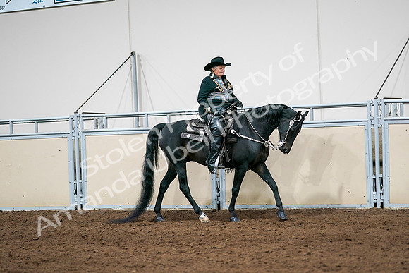 2020 - AB Morgan Horse - Sat, Sept 05 - 08940