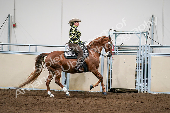 2020 - AB Morgan Horse - Sat, Sept 05 - 08935