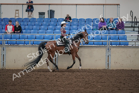 2019 Morgan Horse Show - Aug 30, 2019 - 26207