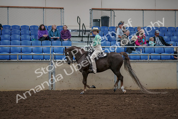 2019 Morgan Horse Show - Aug 30, 2019 - 26076