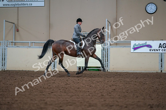 2019 Morgan Horse Show - Aug 30, 2019 - 20942