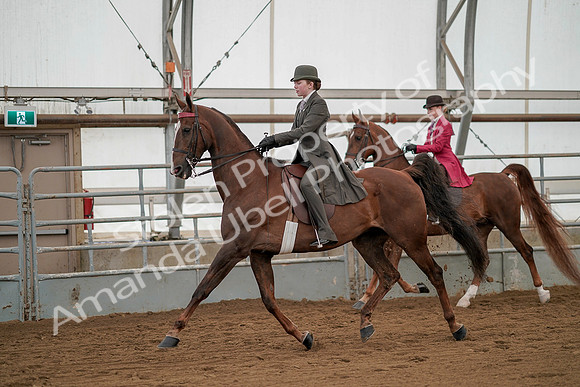 July 20, 2019 - 02211