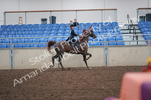 2019 Morgan Horse Show - Aug 30, 2019 - 18060