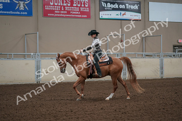 2019 Morgan Horse Show - Aug 30, 2019 - 26053