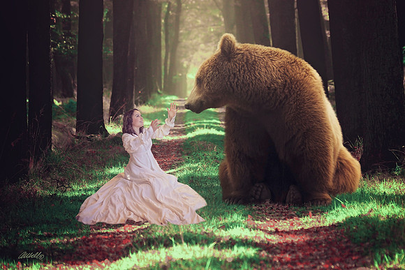 BearinForest 20x14 Ashley