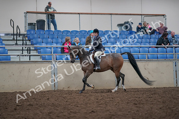 2019 Morgan Horse Show - Aug 31, 2019 - 15874