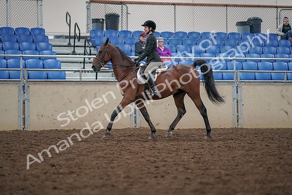 2019 Morgan Horse Show - Aug 30, 2019 - 20258