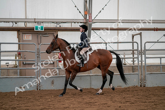 July 19, 2019 - 3946