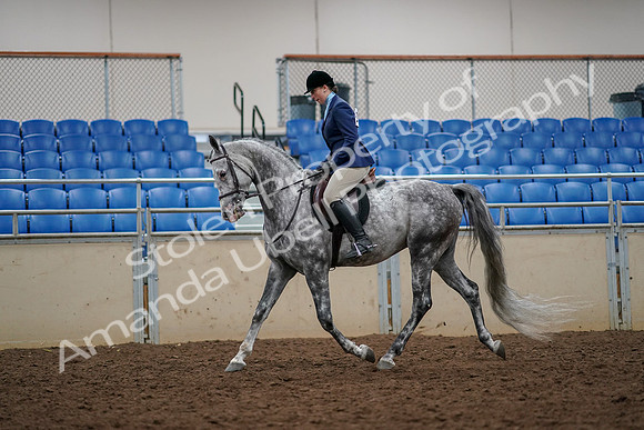 2019 Morgan Horse Show - Aug 30, 2019 - 22276