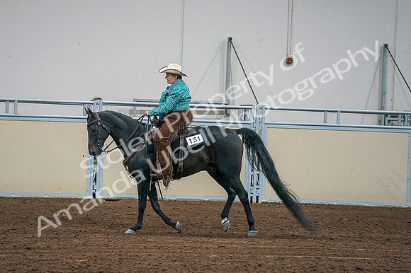 2020 - AB Morgan Horse - Fri, Sept 04 - 00601