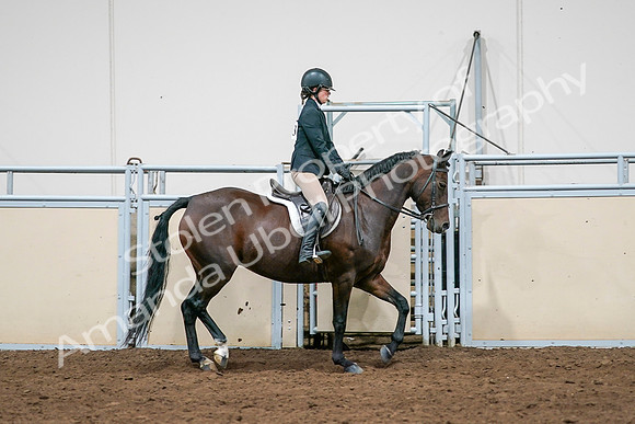 2020 - AB Morgan Horse - Sat, Sept 05 - 14547