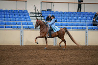 2020 - AB Morgan Horse - Sat, Sept 05 - 03316
