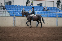 2019 Morgan Horse Show - Sept 01, 2019 - 09009