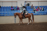 2019 Morgan Horse Show - Aug 30, 2019 - 25869