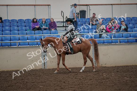 2019 Morgan Horse Show - Aug 30, 2019 - 25869