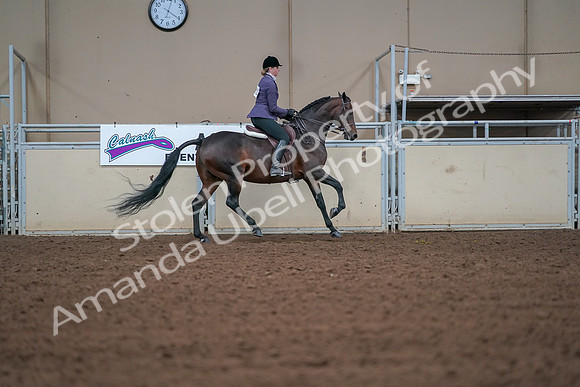 2019 Morgan Horse Show - Aug 30, 2019 - 20966