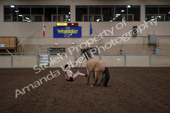 2019 Morgan Horse Show - Aug 30, 2019 - 31271