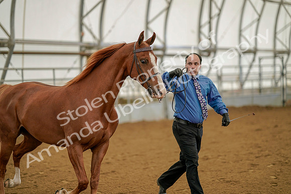 July 19, 2019 - 932