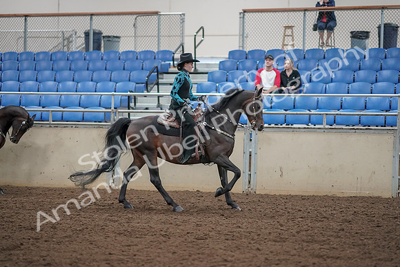 2019 Morgan Horse Show - Aug 30, 2019 - 26171