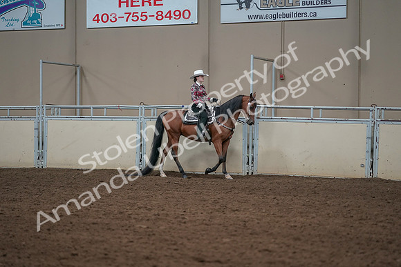 2019 Morgan Horse Show - Aug 30, 2019 - 26140