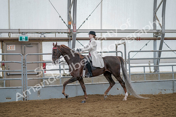July 20, 2019 - 14657