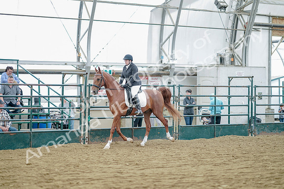 July 21, 2019 - 09573