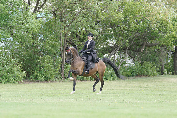 DSC06174
