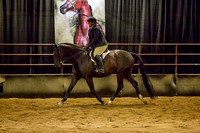 Class 11 - HA Sport Horse Under Saddle Open