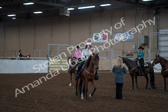 2019 Morgan Horse Show - Sept 01, 2019 - 07242