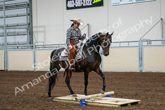 2020 - AB Morgan Horse - Fri, Sept 04 - 00321