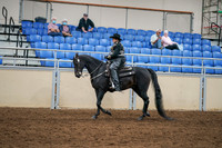 2020 - AB Morgan Horse - Sat, Sept 05 - 08866