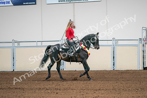 2020 - AB Morgan Horse - Sat, Sept 05 - 10472