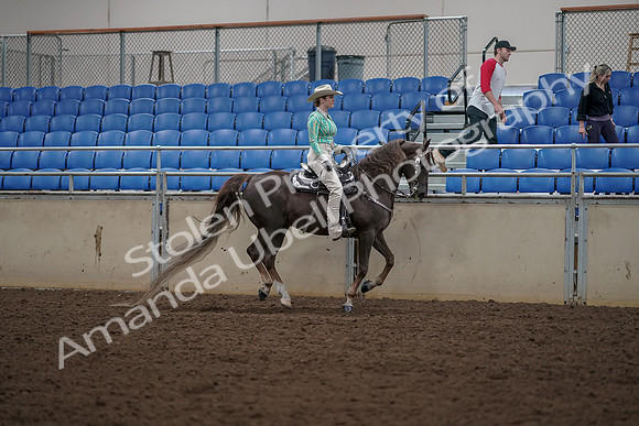 2019 Morgan Horse Show - Aug 30, 2019 - 26150