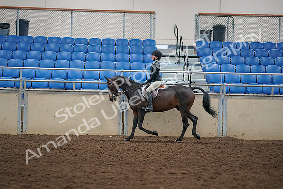 2019 Morgan Horse Show - Aug 30, 2019 - 12146